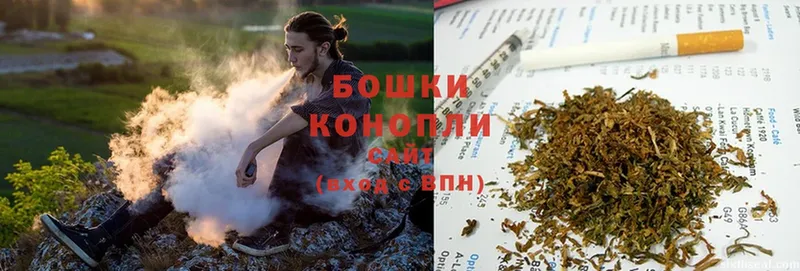 Бошки Шишки SATIVA & INDICA  Дмитриев 